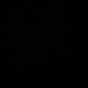 Meet your Posher, Natasha